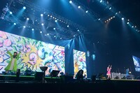 ミルキーホームズ (c)Animelo Summer Live 2013/MAGES.