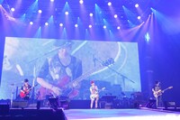 nano.RIPE (c)Animelo Summer Live 2013/MAGES.