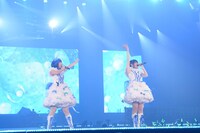 petit milady (c)Animelo Summer Live 2013/MAGES.