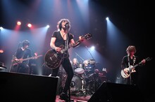 ZIGZO「ZIGZO TRUE IMPULSE」赤坂BLITZ公演の様子。（撮影：大参久人）