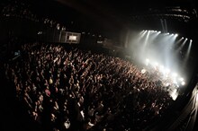 ZIGZO「ZIGZO TRUE IMPULSE」赤坂BLITZ公演の様子。（撮影：大参久人）