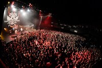 9mm Parabellum Bullet「カオスの百年 vol.9」の様子。（撮影：橋本塁）