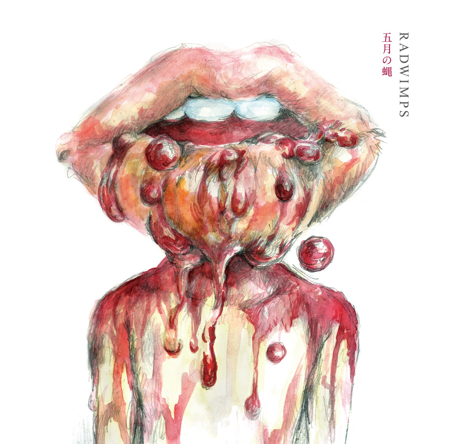 RADWIMPS「五月の蝿 / ラストバージン」ジャケット
