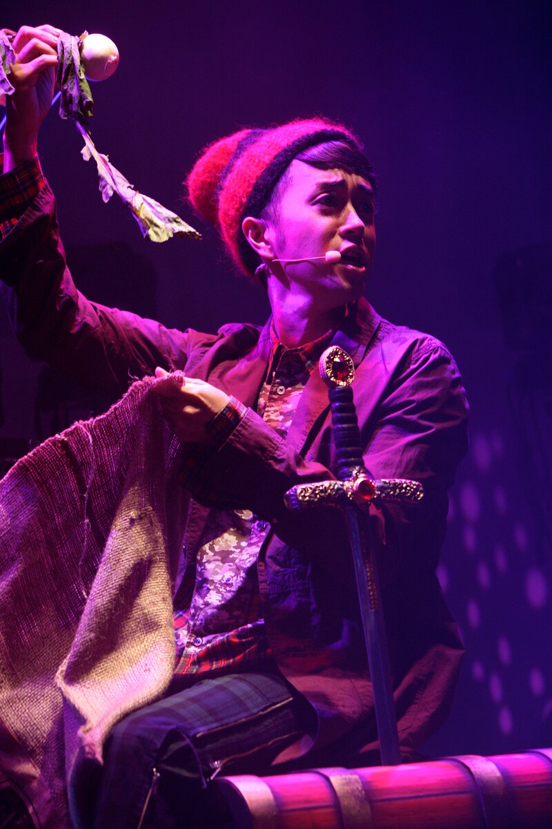 ヒャダイン「ヒャダインクエスト 2013 ～勇者ひやた゛よ、旅の始まりだ～」の様子。