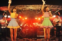 バニラビーンズ