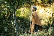 映画「陽だまりの彼女」のワンシーン。(c)2013 映画「陽だまりの彼女」製作委員会