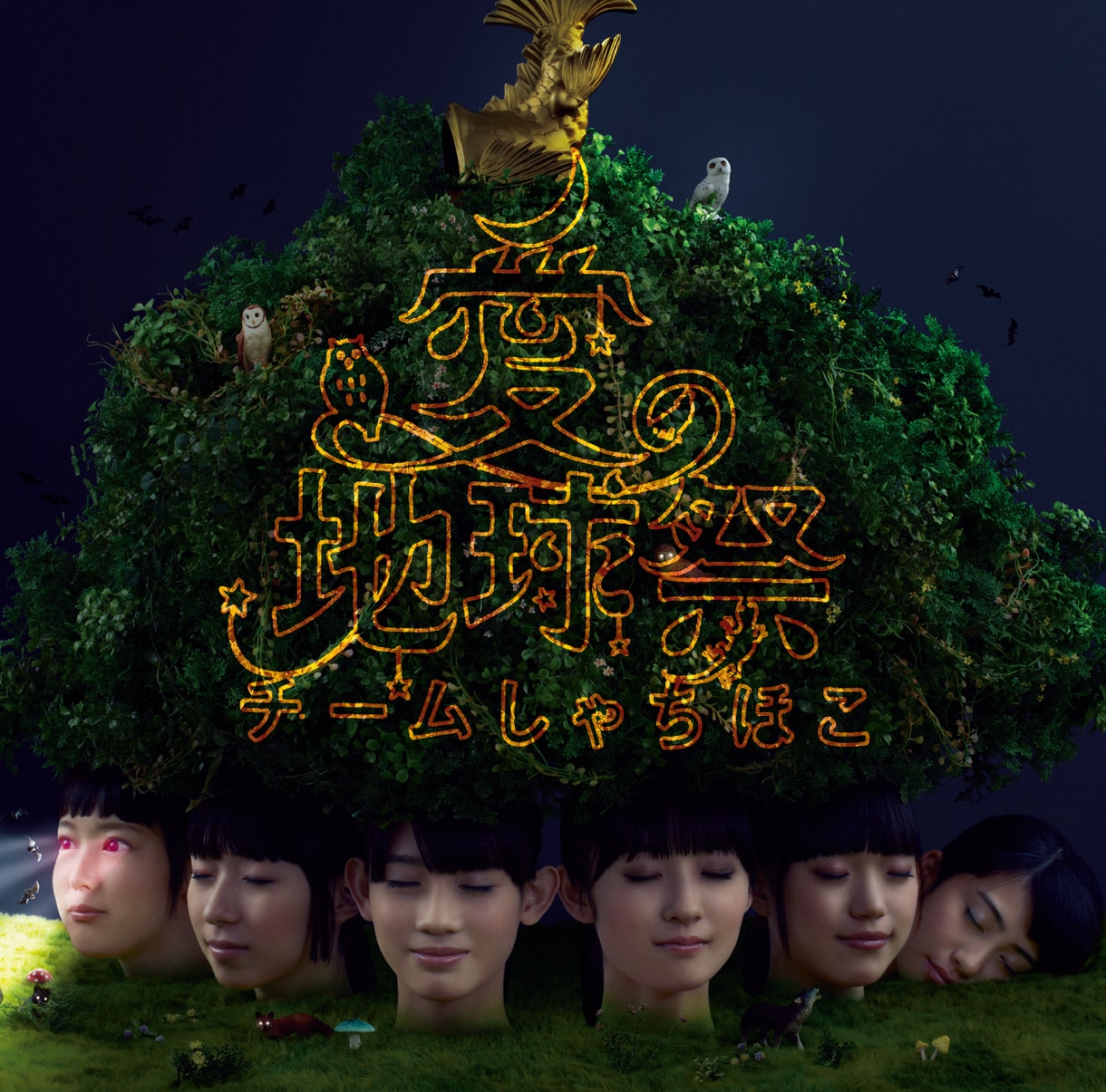 チームしゃちほこ 愛の地球祭 Zepp Namba 2部盤 sp_header.jpg