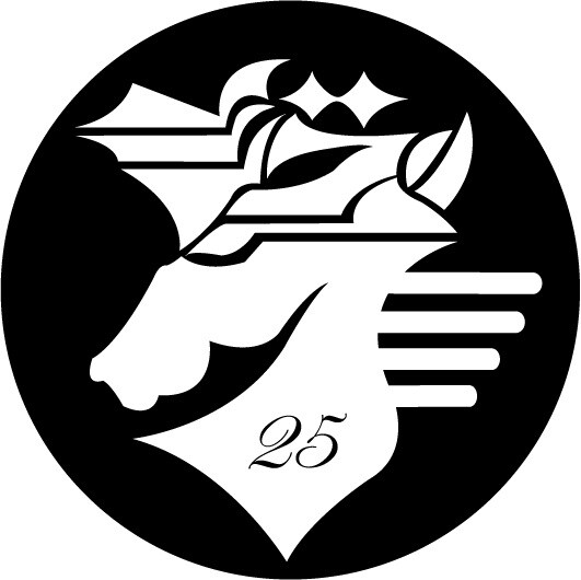 Zeebra25周年記念ロゴ