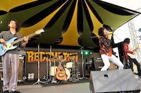 黒猫チェルシー