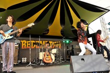 黒猫チェルシー