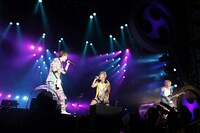 ソナーポケット