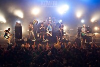 「KEMURI TOUR 2013 “ALL FOR THIS!”」東京・新木場STUDIO COAST公演の様子（Photo by Terumi Fukano）。
