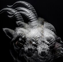 the GazettE「BEAUTIFUL DEFORMITY」通常盤ジャケット