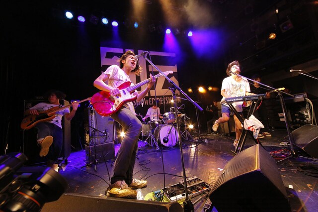 キュウソネコカミ（撮影：上飯坂一）