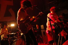 キュウソネコカミ（撮影：上飯坂一）