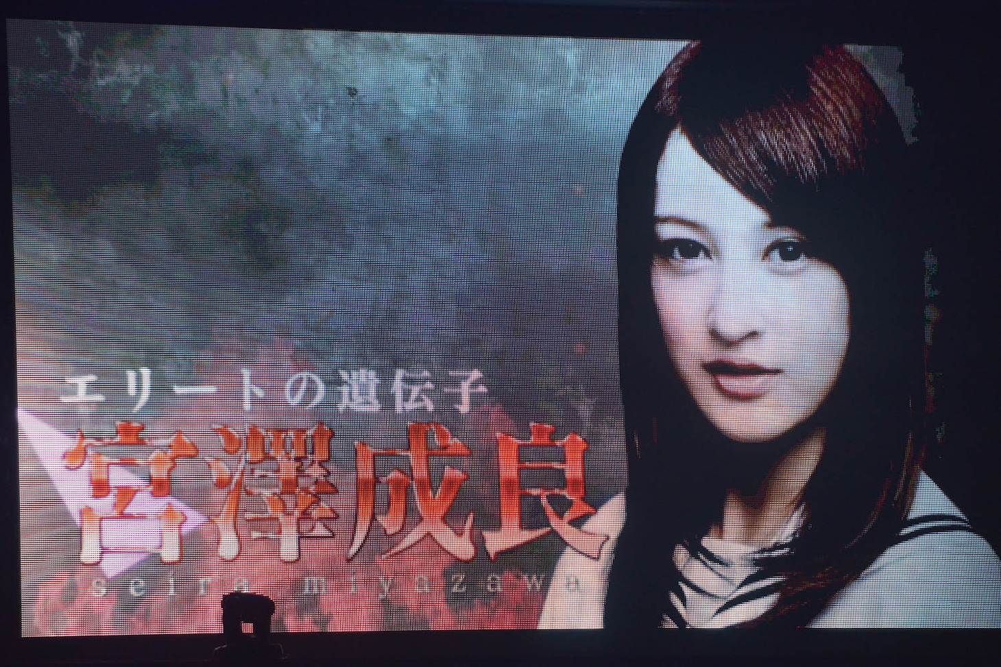 「乃木坂46 秋の大運動会」より、宮澤成良の紹介映像。