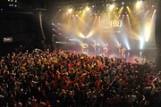 アップアップガールズ（仮）によるライブの様子。