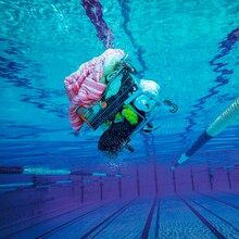 WHITE ASH「Ciao, Fake Kings」ジャケット