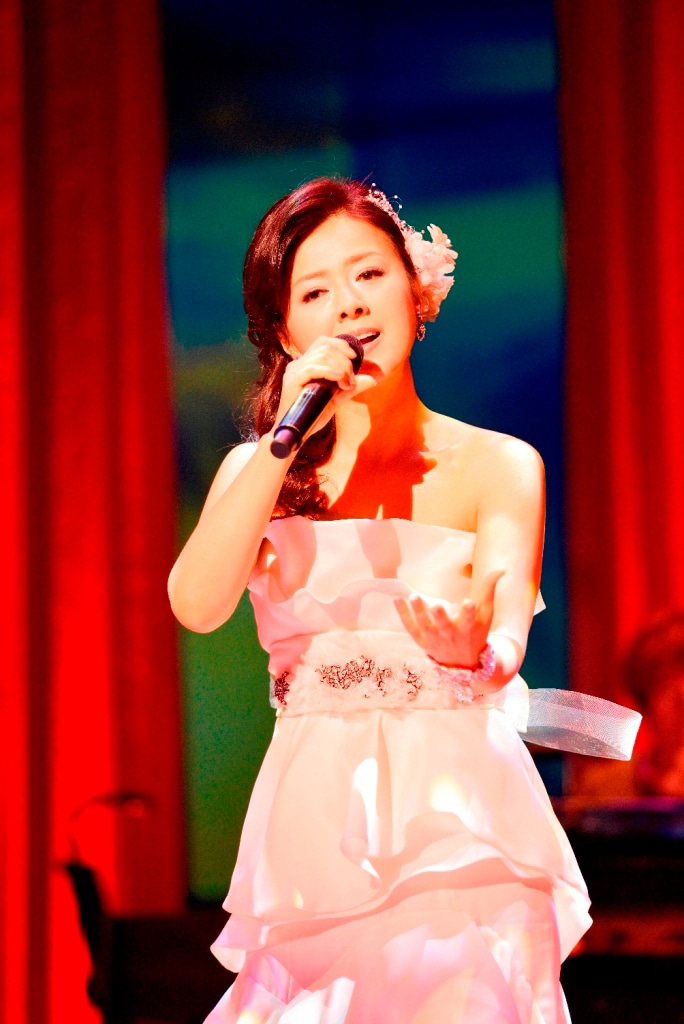 「薬師丸ひろ子 35th Anniversary Concert 2013」の様子。