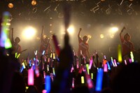 DISH//「皿 vsスラ "世界サラー級タイトルマッチ"」東京・渋谷CLUB QUATTRO公演の様子。