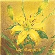 Dragon Ash「Lily」ジャケット