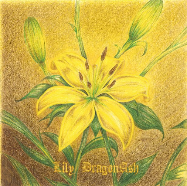 Dragon Ash「Lily」ジャケット