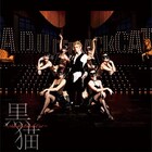 Acid Black Cherry、アダルトな黒猫に囲まれたジャケ完成
