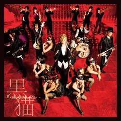 Acid Black Cherry「黒猫 ～Adult Black Cat～」CD盤ジャケット