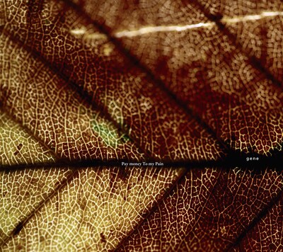 Pay money To my Pain「gene」ジャケット