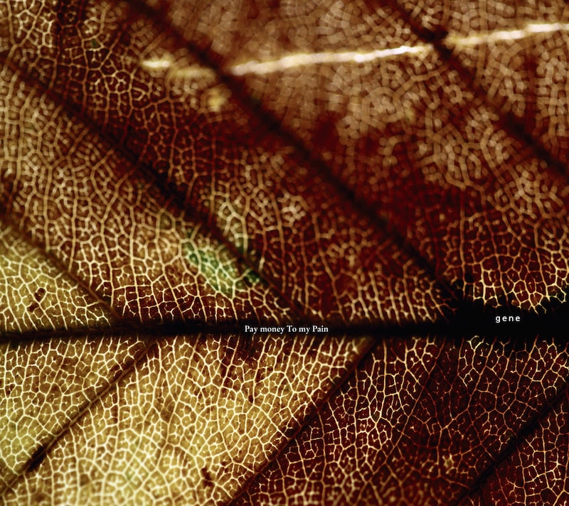 Pay money To my Pain「gene」ジャケット