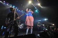 ニューロティカのライブの様子。（撮影：柴田和彦）