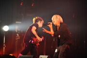 鬱Pのライブの様子。(撮影:柴田和彦)