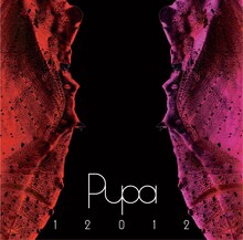 12012「『PUPA』2007～2010」ジャケット
