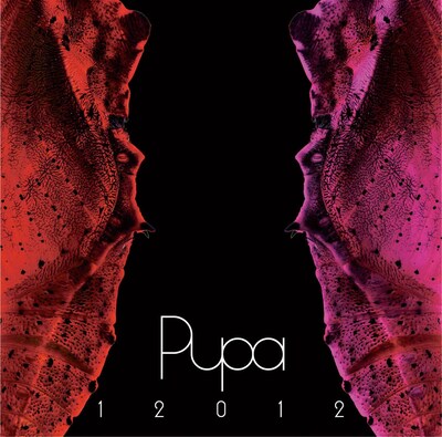 12012「『PUPA』2007～2010」ジャケット