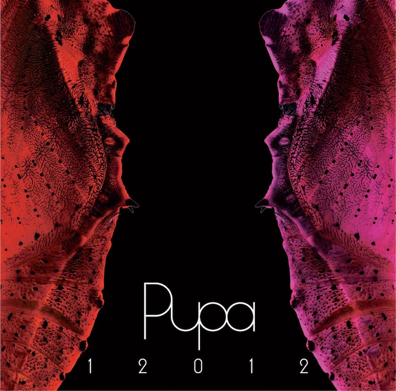 12012「『PUPA』2007~2010」ジャケット