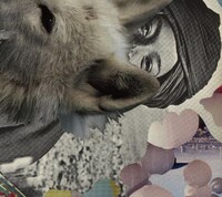 蓮沼執太が2009年にリリースしたアルバム「wannapunch!」のジャケット。