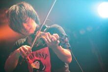 ゲスト参加したTHEラブ人間の谷崎航大（Violin）（撮影：西槇太一）