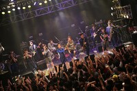 東京スカパラダイスオーケストラとKEMURIホーンズのコラボパフォーマンスの様子。