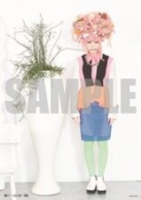 きゃりーぱみゅぱみゅ「もったいないとらんど」購入特典ポスター