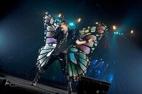 蝶になったDAIGO。（撮影：緒車寿一、田中和子）