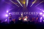 韓国のフェス「grand mint festival 2013」でパフォーマンスを披露するTHE BAWDIES。