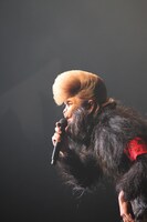 綾小路翔（氣志團）