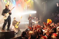 氣志團「AKASAKA HALLOWEEN WEEK 2013」のライブの模様。