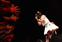 いずこねこ 2ndワンマンライブ「猫と煙と赤いカーテン」の様子。