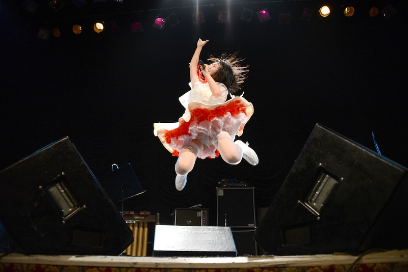 ジャンプするいずこねこ。