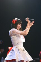 いずこねこ 2ndワンマンライブ「猫と煙と赤いカーテン」の様子。