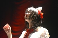 いずこねこ 2ndワンマンライブ「猫と煙と赤いカーテン」の様子。