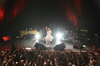 いずこねこ 2ndワンマンライブ「猫と煙と赤いカーテン」の様子。