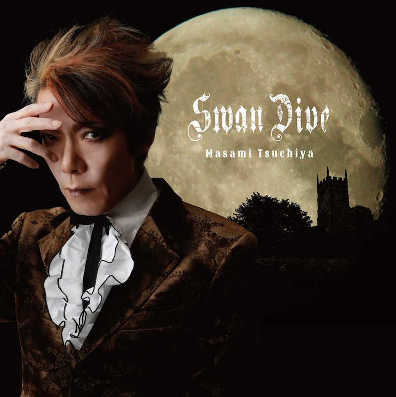 土屋昌巳「Swan Dive」ジャケット