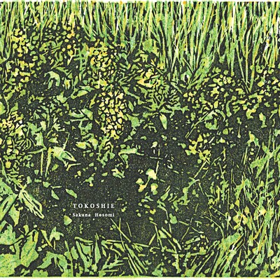 細海魚「とこしえ」ジャケット